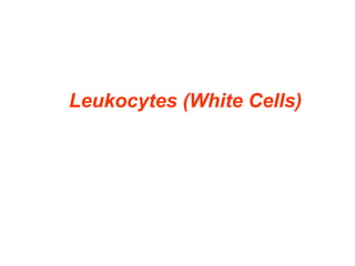Leukocytes (White Cells)
 