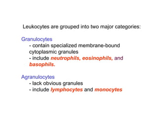  Leukocytes are grouped into two major categories: 
Granulocytes     
- contain specialized membrane-bound  
cytoplasmic granules
- include neutrophils, eosinophils, and 
basophils.
Agranulocytes
- lack obvious granules
- include lymphocytes and monocytes
 
