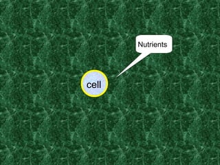 cell
Nutrients
 