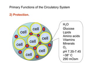 Primary Functions of the Circulatory System
 
2) Protection.    
cell
cell
cell
cell
cell
cell
cell
H2O
Glucose
Lipids
Amino acids
Vitamins
Minerals
O2
pH 7.35-7.45
~38° C
290 mOsm
 