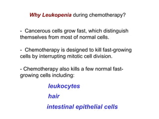 -  Cancerous cells grow fast, which distinguish 
themselves from most of normal cells. 
-  Chemotherapy is designed to kill fast-growing 
cells by interrupting mitotic cell division.
- Chemotherapy also kills a few normal fast-
growing cells including:
Why Leukopenia during chemotherapy?
intestinal epithelial cells
leukocytes
hair
 