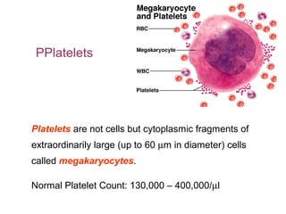 PPlatelets  
Platelets are not cells but cytoplasmic fragments of 
extraordinarily large (up to 60 µm in diameter) cells 
called megakaryocytes. 
Normal Platelet Count: 130,000 – 400,000/µl
 
 