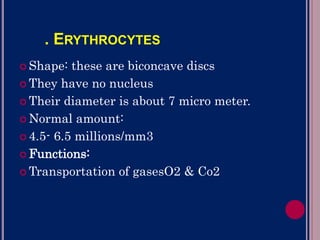 1. ERYTHROCYTES –RED BLOOD CELLS
 Shape: these are biconcave discs
 They have no nucleus
 Their diameter is about 7 micro meter.
 Normal amount:
 4.5- 6.5 millions/mm3
 Functions:
 Transportation of gasesO2 & Co2
 