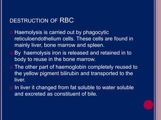 DESTRUCTION OF RBC
 Haemolysis is carried out by phagocytic
reticuloendothelium cells. These cells are found in
mainly liver, bone marrow and spleen.
 By haemolysis iron is released and retained in to
body to reuse in the bone marrow.
 The other part of haemoglobin completely reused to
the yellow pigment bilirubin and transported to the
liver.
 In liver it changed from fat soluble to water soluble
and excreted as constituent of bile.
 