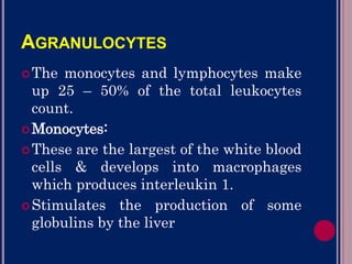 AGRANULOCYTES:
The monocytes and lymphocytes make
up 25 – 50% of the total leukocytes
count.
Monocytes:
These are the largest of the white blood
cells & develops into macrophages
which produces interleukin 1.
Stimulates the production of some
globulins by the liver
 