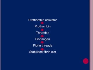 Prothombin activator
Prothombin
Thrombin
Fibrinogen
Fibrin threads
Stabilised fibrin clot
 