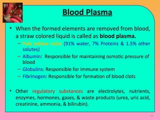 Blood Plasma
• When the formed elements are removed from blood,
a straw colored liquid is called as blood plasma.
– Pale yellow color (91% water, 7% Proteins & 1.5% other
solutes)
– Albumin: Responsible for maintaining osmotic pressure of
blood
– Globulins: Responsible for Immune system
– Fibrinogen: Responsible for formation of blood clots
• Other regulatory substances are electrolytes, nutrients,
enzymes, hormones, gases, & waste products (urea, uric acid,
creatinine, ammonia, & bilirubin).
10
 