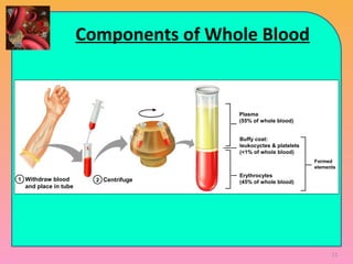 Components of Whole Blood
Withdraw blood
and place in tube
1 2 Centrifuge
Plasma
(55% of whole blood)
Formed
elements
Buffy coat:
leukocyctes & platelets
(<1% of whole blood)
Erythrocytes
(45% of whole blood)
11
 