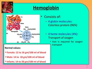 19-
17
Hemoglobin
• Consists of:
– 4 globin molecules:
Colorless protein (96%)
– 4 heme molecules (4%):
Transport of oxygen
• Iron is required for oxygen
transport
Normal values:
Female: 12 to 16 gm/100 ml of blood
Male: 14 to 18 gm/100 ml of blood
Infants: 14 to 20 gm/100 ml of blood
 