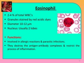 Eosinophil
• 2-4 % of total WBC’s
• Granules stained by red acidic dyes
• Diameter 10-12 μm
• Nucleus: Usually 2 lobes
• Functions:
• Involved in allergic reactions & parasitic infections.
• They destroy the antigen-antibody complexes & restrict the
process of inflammation.
32
 