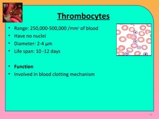 Thrombocytes
• Range: 250,000-500,000 /mm3
of blood
• Have no nuclei
• Diameter: 2-4 μm
• Life span: 10 -12 days
• Function
• Involved in blood clotting mechanism
36
 