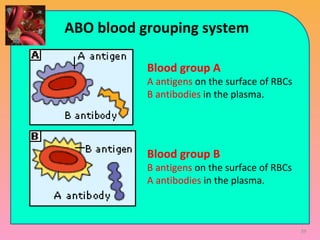 Blood group A
A antigens on the surface of RBCs
B antibodies in the plasma.
Blood group B
B antigens on the surface of RBCs
A antibodies in the plasma.
ABO blood grouping system
39
 