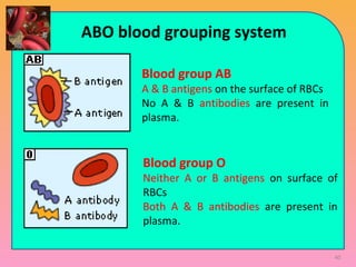 Blood group AB
A & B antigens on the surface of RBCs
No A & B antibodies are present in
plasma.
Blood group O
Neither A or B antigens on surface of
RBCs
Both A & B antibodies are present in
plasma.
ABO blood grouping system
40
 