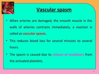 Vascular spasm
• When arteries are damaged, the smooth muscle in the
walls of arteries contracts immediately, a reaction is
called as vascular spasm.
• This reduces blood loss for several minutes to several
hours.
• The spasm is caused due to release of mediators from
the activated platelets.
48
 