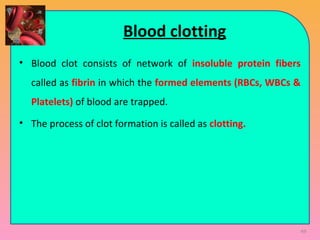 Blood clotting
• Blood clot consists of network of insoluble protein fibers
called as fibrin in which the formed elements (RBCs, WBCs &
Platelets) of blood are trapped.
• The process of clot formation is called as clotting.
49
 
