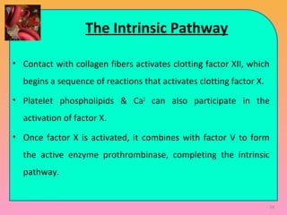 The Intrinsic Pathway
• Contact with collagen fibers activates clotting factor XII, which
begins a sequence of reactions that activates clotting factor X.
• Platelet phospholipids & Ca2
can also participate in the
activation of factor X.
• Once factor X is activated, it combines with factor V to form
the active enzyme prothrombinase, completing the intrinsic
pathway.
54
 
