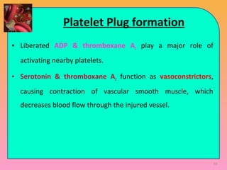 Platelet Plug formation
• Liberated ADP & thromboxane A2 play a major role of
activating nearby platelets.
• Serotonin & thromboxane A2 function as vasoconstrictors,
causing contraction of vascular smooth muscle, which
decreases blood flow through the injured vessel.
59
 
