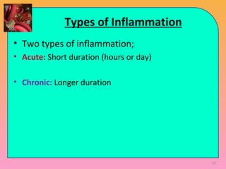 Types of Inflammation
• Two types of inflammation;
• Acute: Short duration (hours or day)
• Chronic: Longer duration
65
 