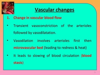 Vascular changes
1. Change in vascular blood flow
• Transient vasoconstriction of the arterioles
followed by vasodilatation.
• Vasodilation involves arterioles first then
microvascular bed (leading to redness & heat)
• It leads to slowing of blood circulation (blood
stasis)
71
 