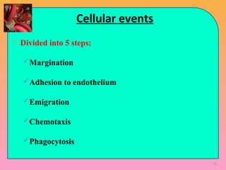 Cellular events
 Divided into 5 steps;
Margination
Adhesion to endothelium
Emigration
Chemotaxis
Phagocytosis
73
 