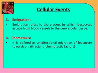 Cellular Events
3. Emigration:
• Emigration refers to the process by which leucocytes
escape from blood vessels to the perivascular tissue.
4. Chemotaxis:
• It is defined as unidirectional migration of leucocyte
towards an attractant (chemotactic factors)
76
 