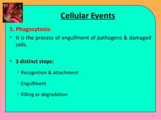 Cellular Events
5. Phagocytosis:
• It is the process of engulfment of pathogens & damaged
cells.
• 3 distinct steps:
 Recognition & attachment
 Engulfment
 Killing or degradation
77
 