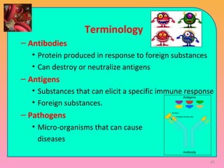 Terminology
– Antibodies
• Protein produced in response to foreign substances
• Can destroy or neutralize antigens
– Antigens
• Substances that can elicit a specific immune response
• Foreign substances.
– Pathogens
• Micro-organisms that can cause
diseases
83
 
