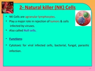 93
2- Natural killer (NK) Cells
• NK Cells are agranular lymphocytes.
• Play a major role in rejection of tumors & cells
infected by viruses.
• Also called Null cells.
• Functions:
• Cytotoxic for viral infected cells, bacterial, fungal, parasitic
infection.
 