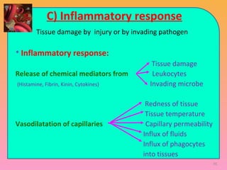 95
C) Inflammatory response
* Tissue damage by injury or by invading pathogen
* Inflammatory response:
Tissue damage
Release of chemical mediators from Leukocytes
(Histamine, Fibrin, Kinin, Cytokines) Invading microbe
Redness of tissue
Tissue temperature
Vasodilatation of capillaries Capillary permeability
Influx of fluids
Influx of phagocytes
into tissues
 