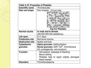 Blood and hematopoietic system | PPTX