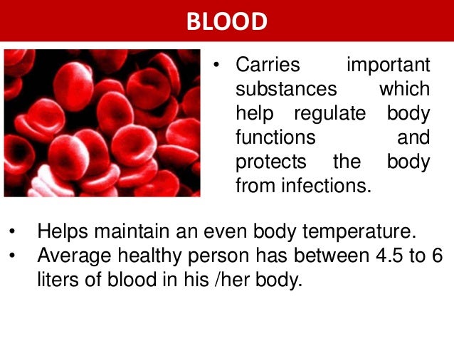 What is the temperature of human blood?