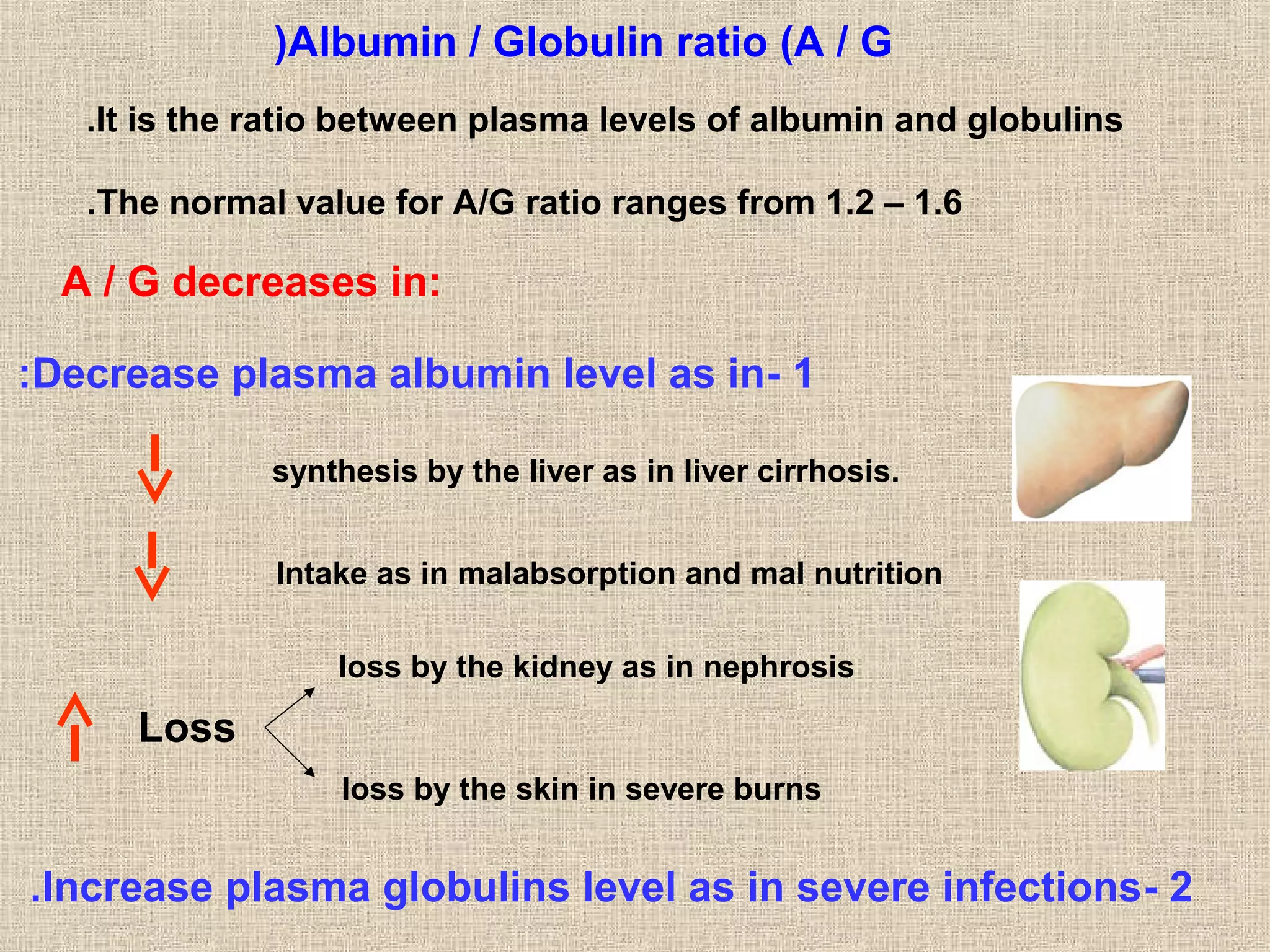 Blood #1, Plasma - Physiology | PPT