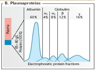 Blood #1, Plasma - Physiology | PPT