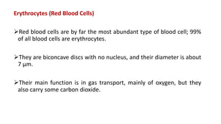 Erythrocytes (Red Blood Cells)
Red blood cells are by far the most abundant type of blood cell; 99%
of all blood cells are erythrocytes.
They are biconcave discs with no nucleus, and their diameter is about
7 μm.
Their main function is in gas transport, mainly of oxygen, but they
also carry some carbon dioxide.
 