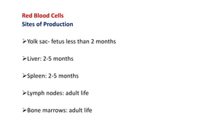 Red Blood Cells
Sites of Production
Yolk sac- fetus less than 2 months
Liver: 2-5 months
Spleen: 2-5 months
Lymph nodes: adult life
Bone marrows: adult life
 
