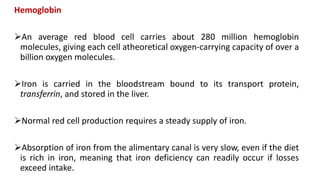 Hemoglobin
An average red blood cell carries about 280 million hemoglobin
molecules, giving each cell atheoretical oxygen-carrying capacity of over a
billion oxygen molecules.
Iron is carried in the bloodstream bound to its transport protein,
transferrin, and stored in the liver.
Normal red cell production requires a steady supply of iron.
Absorption of iron from the alimentary canal is very slow, even if the diet
is rich in iron, meaning that iron deficiency can readily occur if losses
exceed intake.
 