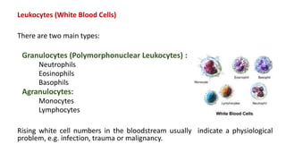 Leukocytes (White Blood Cells)
There are two main types:
Granulocytes (Polymorphonuclear Leukocytes) :
Neutrophils
Eosinophils
Basophils
Agranulocytes:
Monocytes
Lymphocytes
Rising white cell numbers in the bloodstream usually indicate a physiological
problem, e.g. infection, trauma or malignancy.
 
