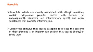 Basophils
Basophils, which are closely associated with allergic reactions,
contain cytoplasmic granules packed with heparin (an
anticoagulant), histamine (an inflammatory agent) and other
substances that promote inflammation.
Usually the stimulus that causes basophils to release the contents
of their granules is an allergen (an antigen that causes allergy) of
some type.
 