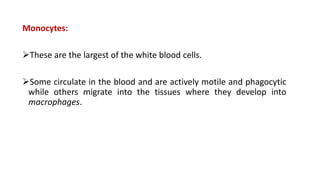 Monocytes:
These are the largest of the white blood cells.
Some circulate in the blood and are actively motile and phagocytic
while others migrate into the tissues where they develop into
macrophages.
 