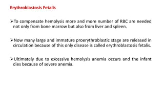 Erythroblastosis Fetalis
To compensate hemolysis more and more number of RBC are needed
not only from bone marrow but also from liver and spleen.
Now many large and immature proerythroblastic stage are released in
circulation because of this only disease is called erythroblastosis fetalis.
Ultimately due to excessive hemolysis anemia occurs and the infant
dies because of severe anemia.
 