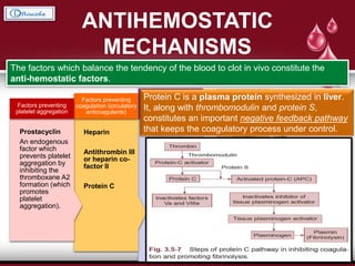ANTIHEMOSTATIC
MECHANISMS
The factors which balance the tendency of the blood to clot in vivo constitute the
anti-hemostatic factors.
Plasmin or
fibrinolysin
Present in the
blood in an
inactive form
called
plasminogen or
profibrinolysin
Factors causing
fibrinolysis (fibrinolytic
mechanism).
Heparin
Antithrombin III
or heparin co-
factor II
Protein C
Factors preventing
coagulation (circulatory
anticoagulants)
Prostacyclin
An endogenous
factor which
prevents platelet
aggregation by
inhibiting the
thromboxane A2
formation (which
promotes
platelet
aggregation).
Factors preventing
platelet aggregation
Heparin is a naturally
produced anticoagulant
in the body. It is
produced by mast cells
which are the wandering
cells.
Protein C is a plasma protein synthesized in liver.
It, along with thrombomodulin and protein S,
constitutes an important negative feedback pathway
that keeps the coagulatory process under control.
 