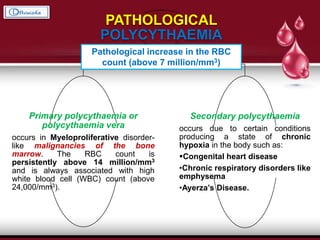 PATHOLOGICAL
POLYCYTHAEMIA
Primary polycythaemia or
polycythaemia vera
occurs in Myeloproliferative disorder-
like malignancies of the bone
marrow. The RBC count is
persistently above 14 million/mm3
and is always associated with high
white blood cell (WBC) count (above
24,000/mm3).
Secondary polycythaemia
occurs due to certain conditions
producing a state of chronic
hypoxia in the body such as:
Congenital heart disease
•Chronic respiratory disorders like
emphysema
•Ayerza’s Disease.
Pathological increase in the RBC
count (above 7 million/mm3)
 