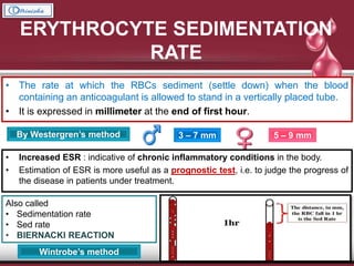 ERYTHROCYTE SEDIMENTATION
RATE
• The rate at which the RBCs sediment (settle down) when the blood
containing an anticoagulant is allowed to stand in a vertically placed tube.
• It is expressed in millimeter at the end of first hour.
3 – 7 mm 5 – 9 mmBy Westergren’s method
• Increased ESR : indicative of chronic inflammatory conditions in the body.
• Estimation of ESR is more useful as a prognostic test, i.e. to judge the progress of
the disease in patients under treatment.
Also called
• Sedimentation rate
• Sed rate
• BIERNACKI REACTION
Wintrobe’s method
 