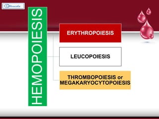 HEMOPOIESIS
ERYTHROPOIESIS
LEUCOPOIESIS
THROMBOPOIESIS or
MEGAKARYOCYTOPOIESIS
 