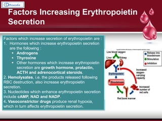 Factors which increase secretion of erythropoietin are :
1. Hormones which increase erythropoietin secretion
are the following :
 Androgens
 Thyroxine
 Other hormones which increase erythropoietin
secretion are growth hormone, prolactin,
ACTH and adrenocortical steroids.
2. Hemolysates, i.e. the products released following
RBC destruction, also increase erythropoietin
secretion.
3. Nucleotides which enhance erythropoietin secretion
include cAMP, NAD and NADP.
4. Vasoconstrictor drugs produce renal hypoxia,
which in turn affects erythropoietin secretion.
Factors Increasing Erythropoietin
Secretion
 