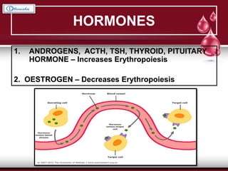 HORMONES
1. ANDROGENS, ACTH, TSH, THYROID, PITUITARY
HORMONE – Increases Erythropoiesis
2. OESTROGEN – Decreases Erythropoiesis
 