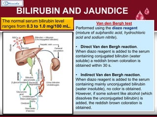 BILIRUBIN AND JAUNDICE
The normal serum bilirubin level
ranges from 0.3 to 1.0 mg/100 mL.
Van den Bergh test
Performed using the diazo reagent
(mixture of sulphanilic acid, hydrochloric
acid and sodium nitrite).
• Direct Van den Bergh reaction.
When diazo reagent is added to the serum
containing conjugated bilirubin (water
soluble) a reddish brown coloration is
obtained within 30 s.
• Indirect Van den Bergh reaction.
When diazo reagent is added to the serum
containing mainly unconjugated bilirubin
(water insoluble), no color is obtained.
However, if some solvent like alcohol (which
dissolves the unconjugated bilirubin) is
added, the reddish brown coloration is
obtained.
 