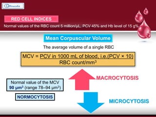 RED CELL INDICES
Normal values of the RBC count 5 million/μL, PCV 45% and Hb level of 15 g%
Mean Corpuscular Volume
The average volume of a single RBC
MCV = PCV in 1000 mL of blood, i.e.(PCV × 10)
RBC count/mm3
Normal value of the MCV
90 μm3 (range 78–94 μm3)
NORMOCYTOSIS
MACROCYTOSIS
MICROCYTOSIS
 
