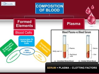 COMPOSITION
OF BLOOD
Formed
Elements
Plasma
Blood Cells Liquid Portion
Leucocytes Or
White Blood
Cells
4000–
11,000/μL
SOLIDS
WATER
GASES
7-8%
92-93%
• Oxygen
• Carbon
Dioxide
• Nitrogen
SERUM = PLASMA – CLOTTING FACTORS
 