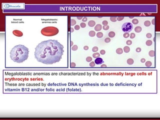 INTRODUCTION
Megaloblastic anemias are characterized by the abnormally large cells of
erythrocyte series.
These are caused by defective DNA synthesis due to deficiency of
vitamin B12 and/or folic acid (folate).
 